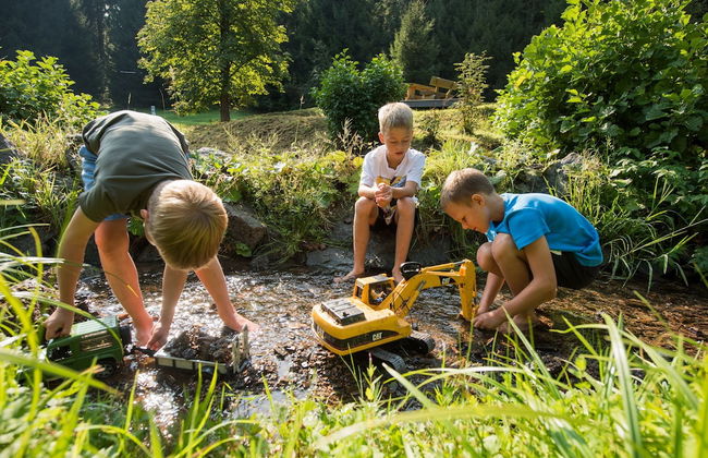 Ferienhaus Lichtung - Photo 30