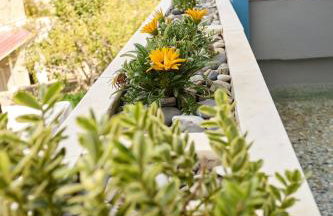 Alexandrino - Foto 28