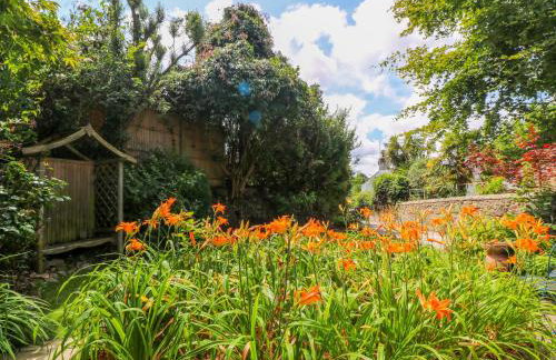 Coth Skyber - Foto 28