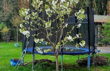 Haus am Walde - Foto 26