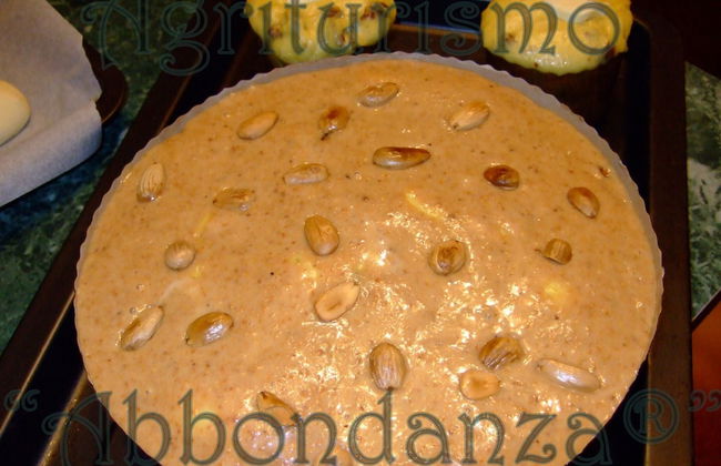 Room in Farmhouse - Agriturismo Abbondanza® - Foto 15