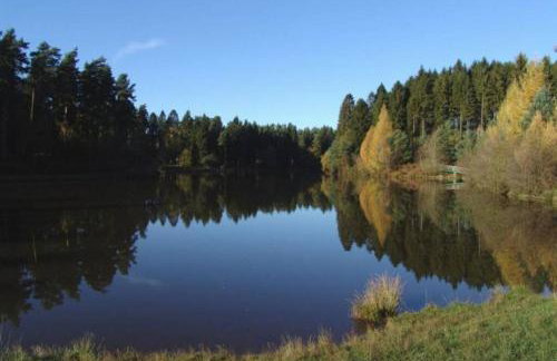 The Little Acorn - Photo 21