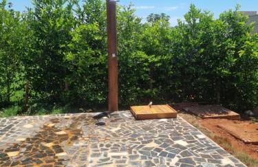 Chácara Lótus - Photo 8