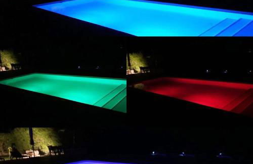 Casa Belle - Photo 8