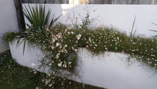 Gabrielle 40m2, Netflix - Foto 5