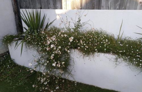 Gabrielle 40m2, Netflix - Foto 5