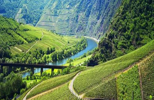 Wine Country Apartment - Foto 27