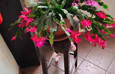 Casa Di Lena - Photo 2