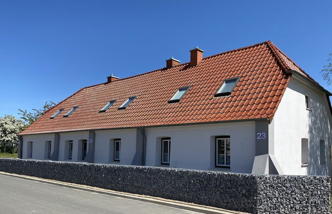 Ostseekrabbe - Foto 1