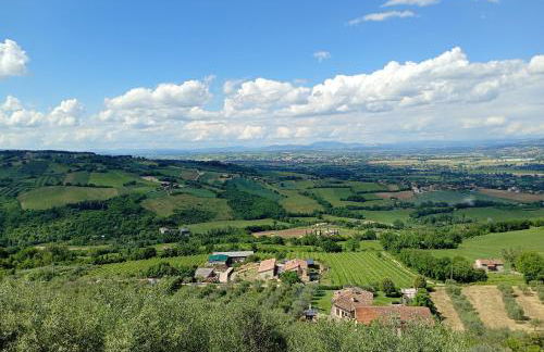 L'angolo delle More - Foto 36