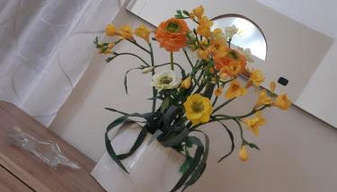 Domus Mirabilis - Foto 2