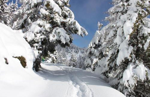 La Madonnina - Foto 46