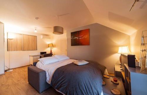 Studio confortable, parking et jardin - Photo 7