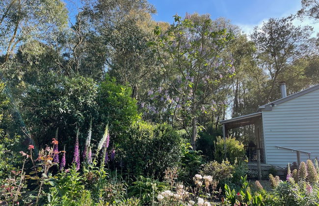 Tindoona Cottages - Foto 44