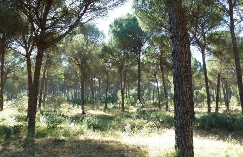 La Suite de la Reina - Foto 21