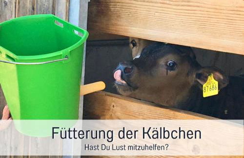 Bauernhof Finkel - Ferienwohnungen mit Balkon - Bergsicht - Traktor mitfahren - Tiere streicheln - entspannter Familienurlaub - zentrale Lage nahe Oberstdorf - Photo 28