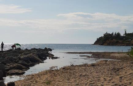 Calma Luxury Apartments #1 Sozopoli in Halkidiki - Foto 67