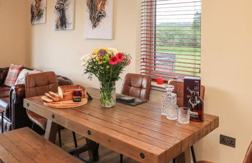 Pine Marten - Foto 10