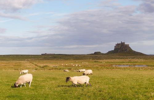 The Granary - Foto 20