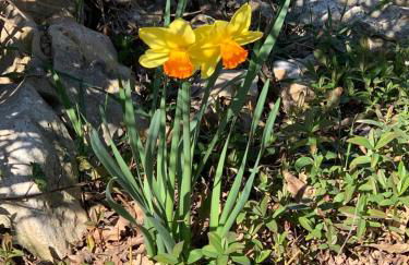 conGusto Apartments - Photo 25