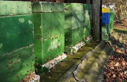 Ferienwohnung Wiesenweg - Foto 9