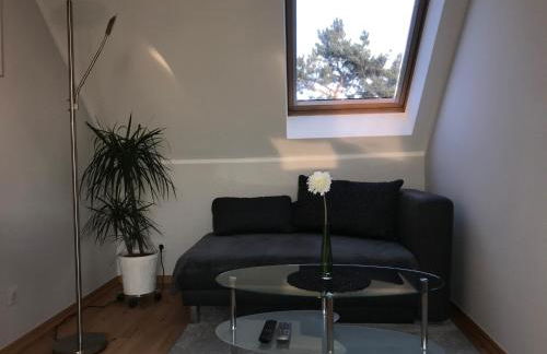 Le Casa de Jeune - Photo 2