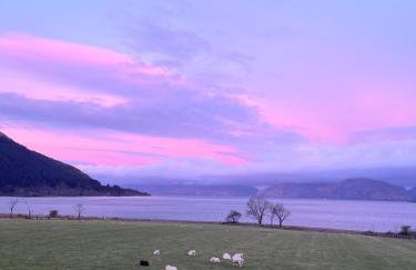 View of the Mountain - Foto 28