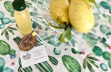 Villa Ulivo a 900 metri dal Mare - Foto 13