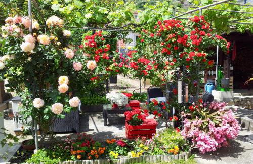 da Marinella - Foto 7