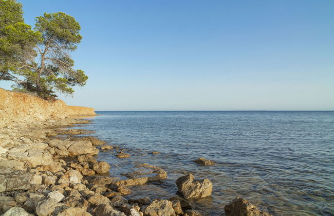 Apartamentos Los Arcos - Foto 31