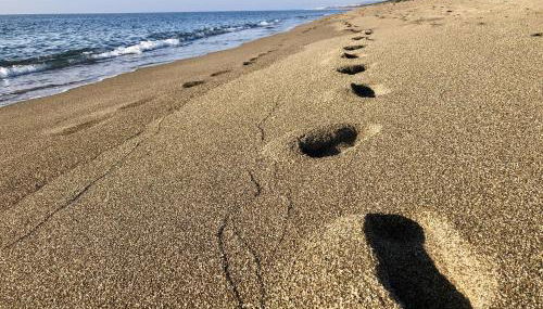 Podere Morena with sea view, private terrace by ToscanaTour Greg - Foto 3