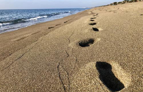 Podere Morena with sea view, private terrace by ToscanaTour Greg - Foto 3