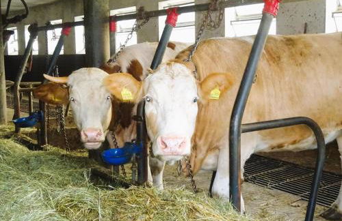 Ferienwohnung Lindenhof - Foto 28