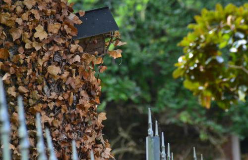 Le Moulin Neuf - Photo 23