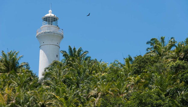 Day Trip to Morro de São Paulo - Photo 3