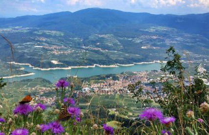 Casa Novella - Photo 44