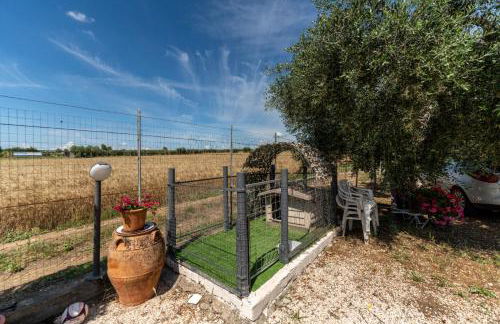 Angelo's Country House - Foto 10