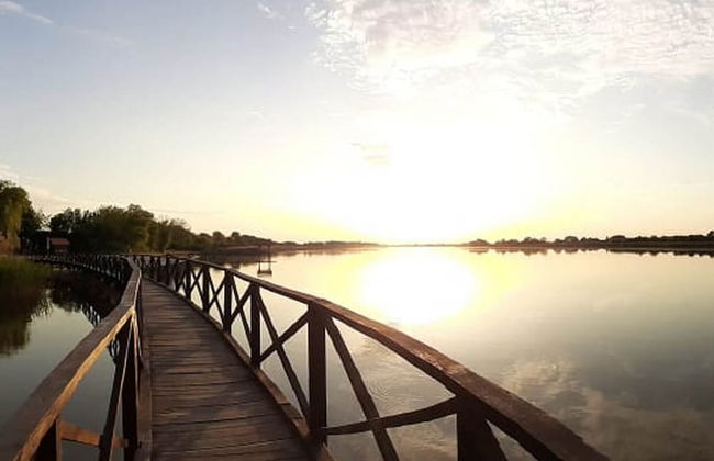 Mikin dol Baranja Country House - Foto 41