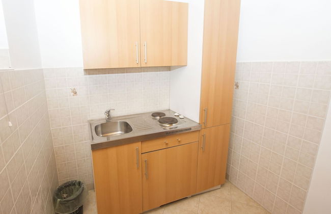 Tourist Farm Pri Martinovih - Foto 27