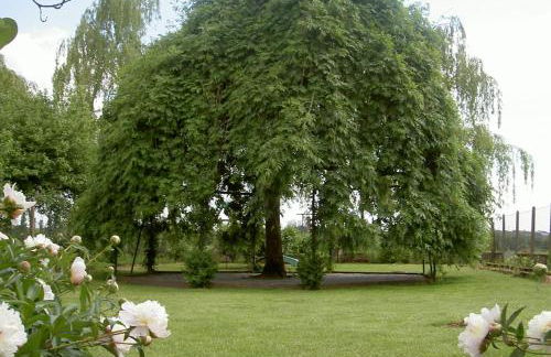 Les Jardins de l'Ile - Foto 16