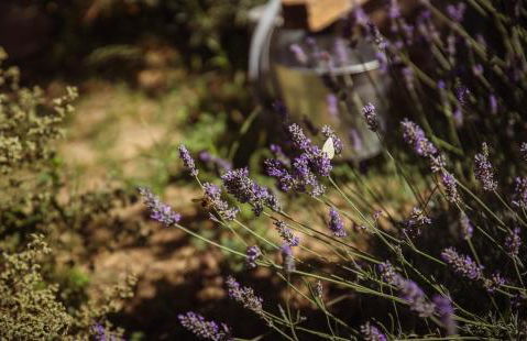 La Casa dell'Artista - 3' dal mare - Foto 51