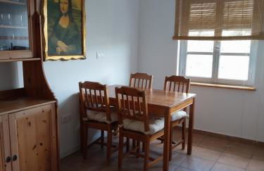 Ave Ibis eremita Vejer - Foto 20