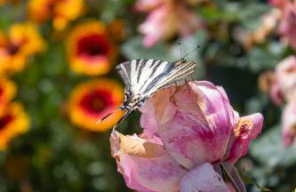 George's Panoramic View - Photo 22