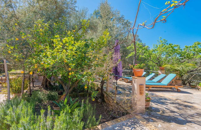 Can Mateu in Fornalutx - Photo 26