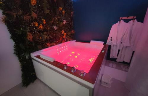 Un amour passionnel,love room,15 min du zoo,balnéo XL privatisée et disponible toute l'année ,piscine couverte et chauffée d'avril à fin septembre à partager avec d'autres logements et elle est privatisée de 20h à 22h - Foto 16