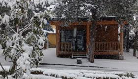 Jardín Las Secuoyas - Foto 5