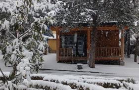 Jardín Las Secuoyas - Foto 5