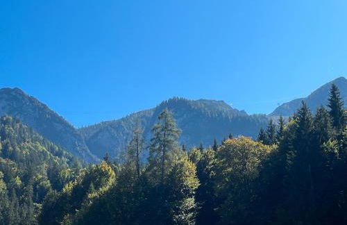 Fewo Maria Grasegger - Foto 33