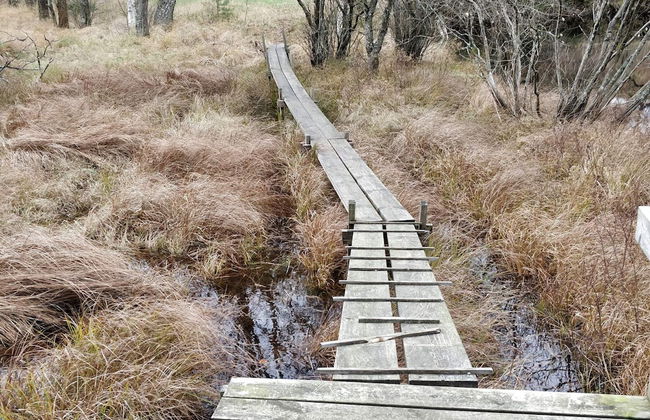 2 Person Holiday Home in Aplared-by Traum - Foto 15