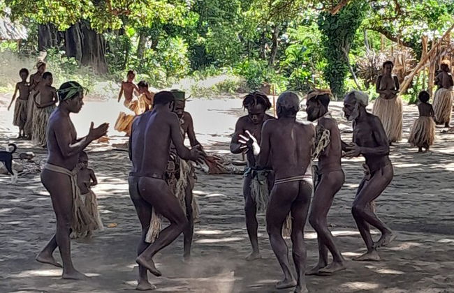 Glowing view tree house and Bangalow - Foto 22